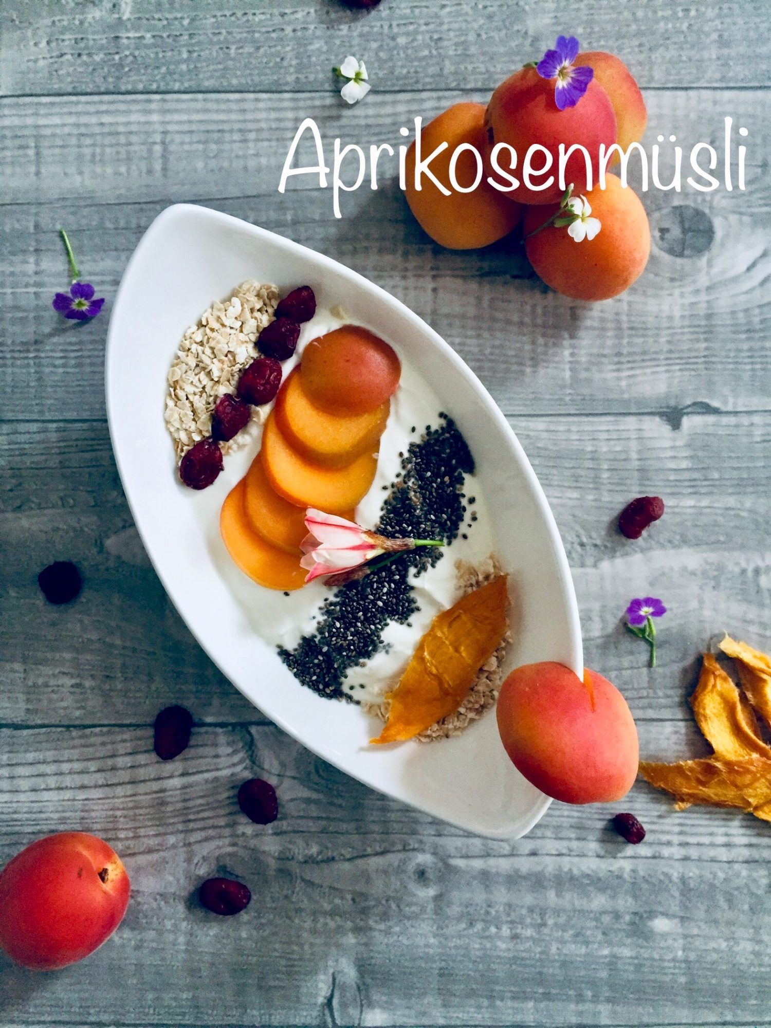 Aprikosenmüsli – Ernährungsberatung-Vorreiter